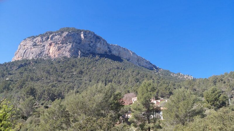 260318_Berg_Alaro.jpg - Mallorca-Wanderungen März 2026 - 18.03.26 - Alaró-Refugi (480 Hm, 16 km, 28k)   Berg Alaró