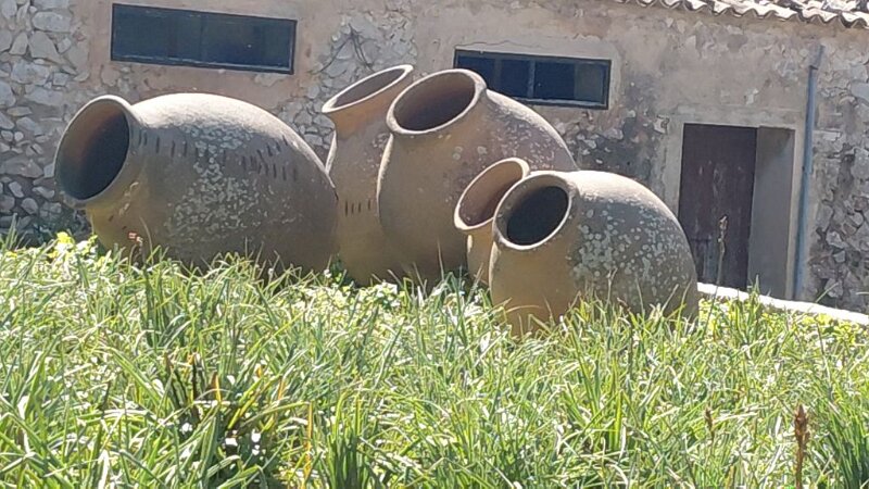 260318_Kruege.jpg - Mallorca-Wanderungen März 2026 - 18.03.26 - Alaró-Refugi (480 Hm, 16 km, 28k)   Krüge bei der Finca Solleric