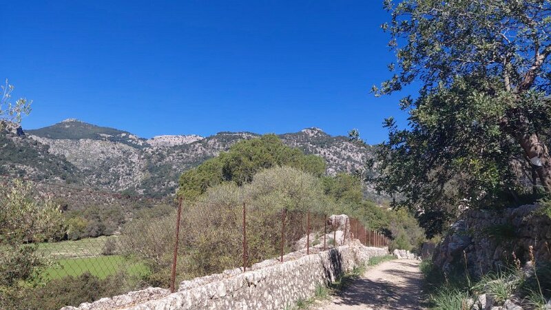 260318_Ofre.jpg - Mallorca-Wanderungen März 2026 - 18.03.26 - Alaró-Refugi (480 Hm, 16 km, 28k)   Dreigipfeltour (links L'Ofre) 