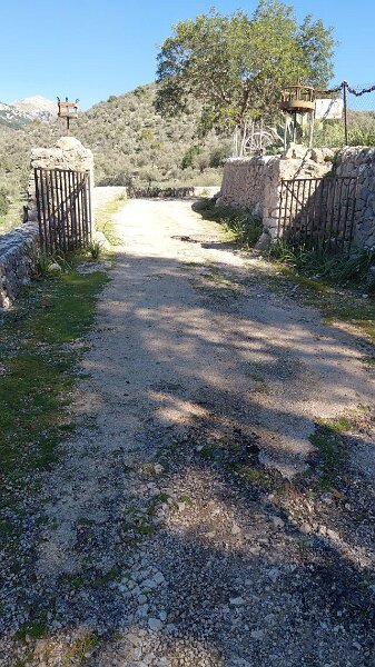 260318_Solleric.jpg - Mallorca-Wanderungen März 2026 - 18.03.26 - Alaró-Refugi (480 Hm, 16 km, 28k)   Tor zu Finca Solleric (war früher mautpflichtig) 