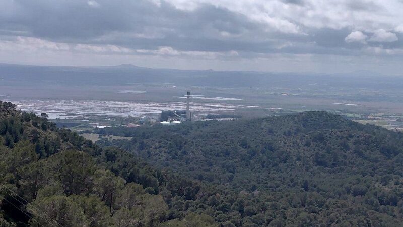 260319_Albufera.jpg - Mallorca-Wanderungen März 2026 - 19.03.26 - Puig Sant Martí (210 Hm, 7 km, 12k)   Albufera vom Gipfel