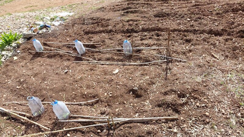 260320_Wassergefaess.jpg - Mallorca-Wanderungen März 2026 - 20.03.26 - Fartaritx-Ninot (420 Hm, 12 km, 22k)   Schutz mit Wasserbehälter