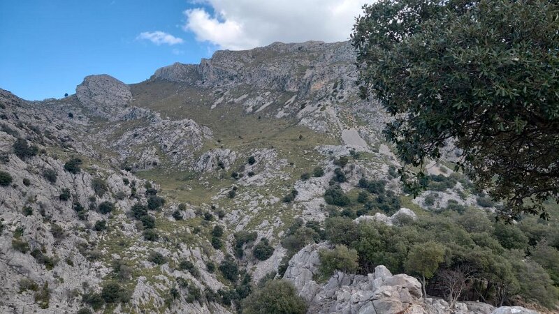 260324_Weg_Tossals.jpg - Mallorca-Wanderungen März 2026 - 24.03.26 - Coma Sema (480 Hm, 13 km, 24k)   Weg nach Refugi Tossals Verds