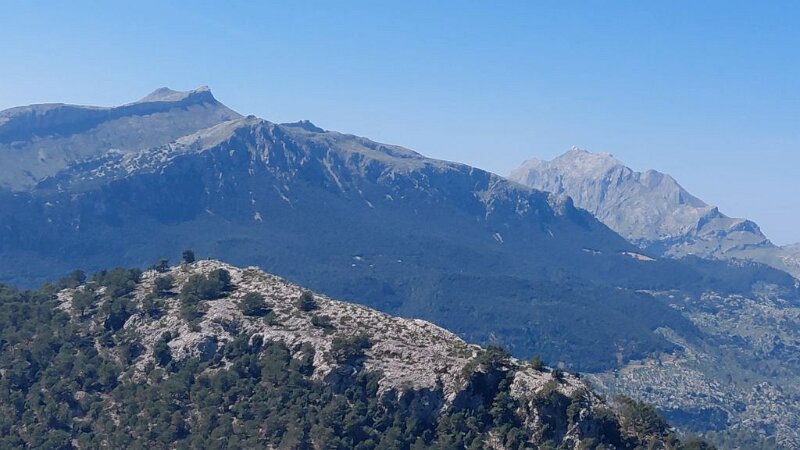 260325_Berge.jpg - Mallorca-Wanderungen März 2026 - 25.03.26 - Tomir mit Umrundung (740 Hm, 14 km, 26k)   links Massanella, davor Galileu, ganz rechts Puig Major