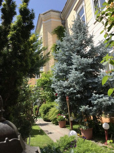 180529_Radna_2_R.jpg - Sanktanna-Besuch 2018 - 29.05.2018 - Arad   ??? (Foto Ralf) 