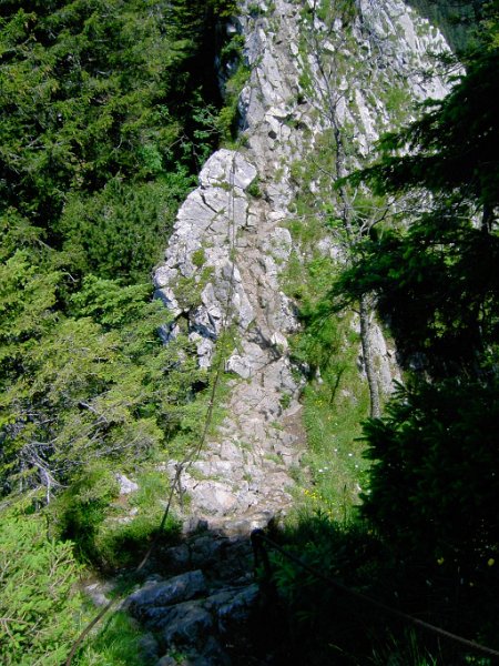 120630_Grat.jpg - 30.06.2012 - Grünten - seilversicherter Grat kurz vor dem Burgberger Horn  Helmuth