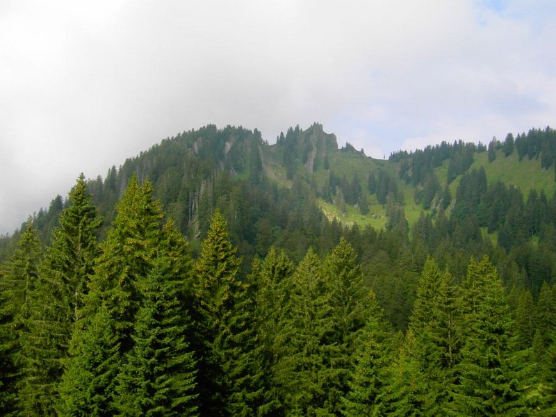 120804_Steineberg.jpg - 04.08.2012 - Steineberg-Stuiben - Steineberg vom Aufstieg   Helmuth