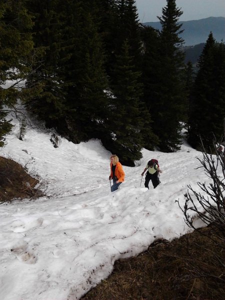 130501_Puerschling_Schnee_A.jpg - 01.05.2013 - Pürschling mit Teufelstättkopf - Schneefelder  Elisabeth, Lena, Doris, Anton, Helmuth