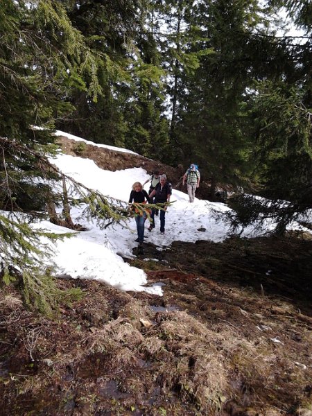 130501_Puerschling_wohin_A.jpg - 01.05.2013 - Pürschling mit Teufelstättkopf - vorwärts oder rückwärts ?  Elisabeth, Lena, Doris, Anton, Helmuth