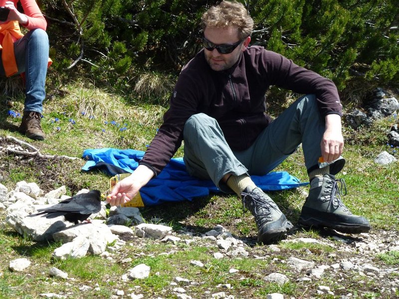 130518_Breitenberg_Dohlen_E.jpg - 18.05.2013 - Breitenberg - Dohlenfütterung (E)  Elisabeth, Lena, Doris, Anton, Helmuth