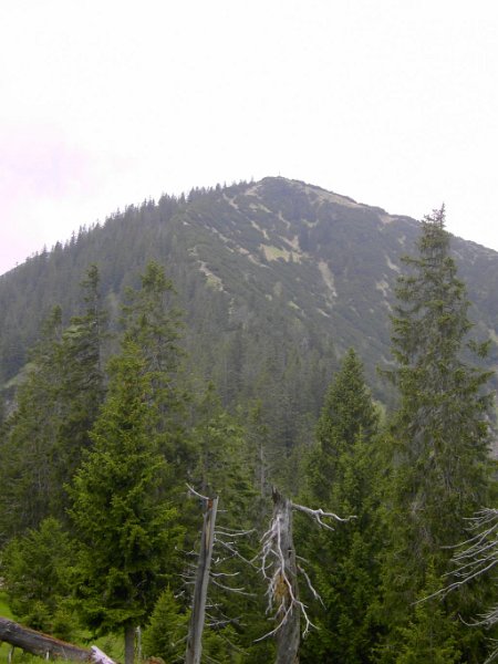 130612_Notkarspitze_mm.jpg - 12.06.2013 - Notkarspitze - mml  Helmuth