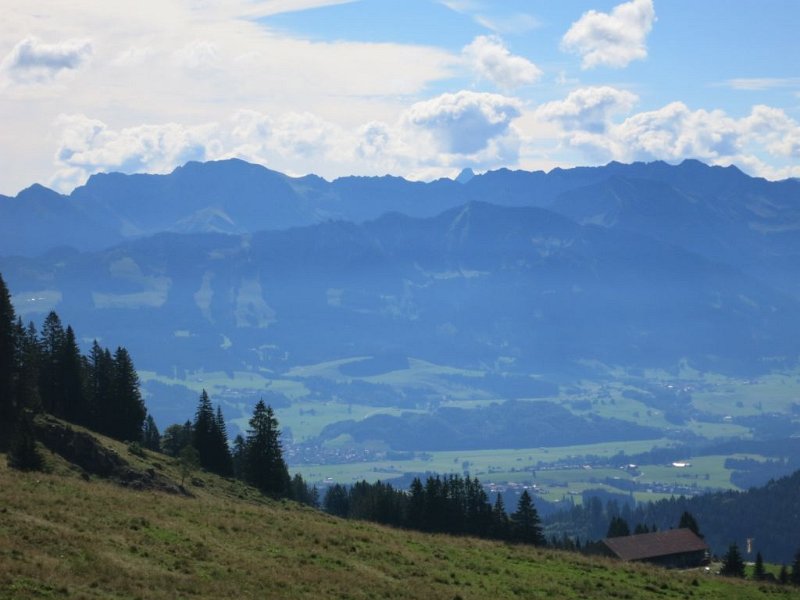 150822_Sonnenkoepfe.jpg - 22.08.2015 - Steineberg, Stuiben - Sonnenköpfe vom Anstieg Steineberg  Helmuth 
