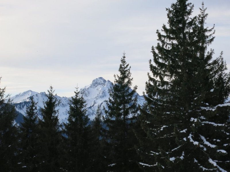 160124_Klammspitze.jpg - 24.01.2016 - Hochschergen (Schneeschuh) - Klammspitze vom Gipfel   Elisabeth, Helmuth
