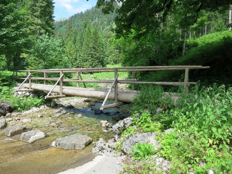 160625_Bruecke.jpg - 25.06.2016 - Bäckenalmsattel - neue Brücke  Elisabeth, Helmuth