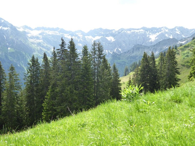 170610_Berge_S_E.jpg - 10.06.2017 - Sonnenköpfe -  Berge Richtung Süden (Foto Elisabeth)  Luise, Elisabeth, Helmuth