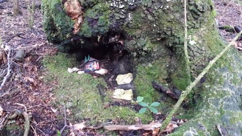 170729_Krippe.jpg - 29.07.2017 - Säuling von Pflach - Krippe unter Baum am Aufstieg (Foto Anton)  Lea, Lennart, Anton, Helmuth