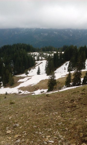 180501_Haenge.jpg - 01.05.2018 - Saison-Eröffnung Grünten - vom Abstieg zur Roßalpe - Hänge mit Schneeresten (Foto Smartfone)  Elisabeth, Helmuth