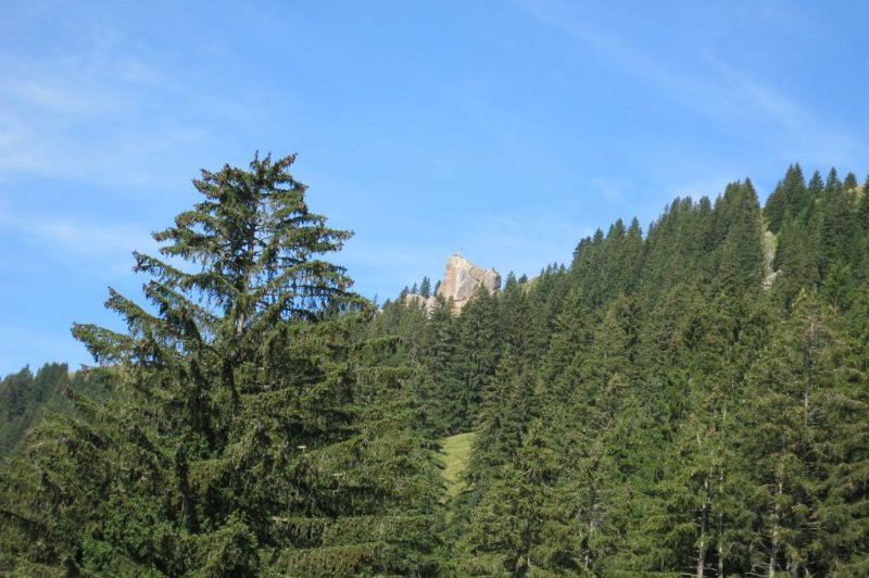 180729_Kreuz_Fels.jpg - 29.07.2018 - Steineberg, Stuiben - vom Aufstieg, Steinebergköpfle  Helmuth