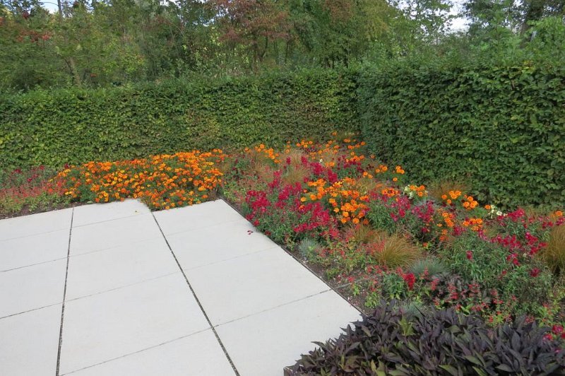 180922_Mainau_Blumen.jpg - 22.09.2018 - Bodensee - Insel Mainau  Helmuth mit Bus