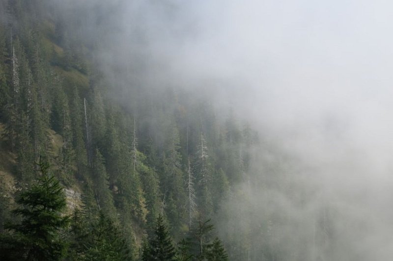 180929_Nebel_steigen.jpg - 29.09.2018 - Scheinbergspitze - vom Aufstieg, Nebel steigen  Helmuth 