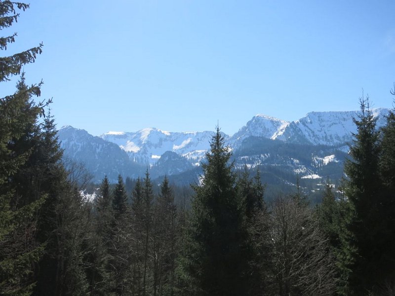 190330_Berge.jpg - 30.03.2019 - Wolfkopf, Halblech - vom Rundweg - Berge Richtung Hochplatte  Elisabeth, Helmuth