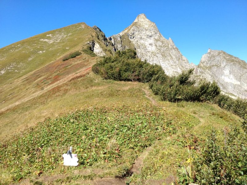 190929_Hoefats_E.jpg - 29.09.2019 - Gerstruben, Älpelesattel, Oytalhaus - vom Sattel - Höfats (Foto Elisabeth)  Elisabeth, Helmuth