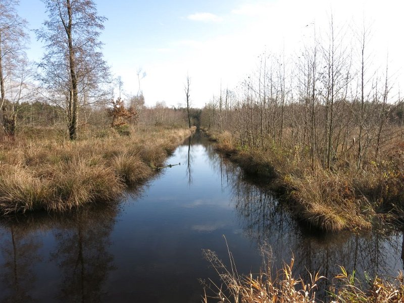 191130_Graben_1.jpg - 30.11.2019 - Haspelmoor - am Wanderweg - Entwässerungsgraben  Elisabeth, Doris, Helmuth
