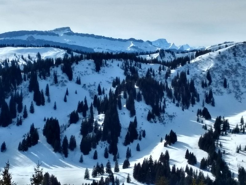 200208_Berge_1_E.jpg - 08.02.2020 - Bolsterlang Bergstation - Ofterschwang Talstation mit Schneeschuhen   - am Gipfel Sigiswanger Horn - Berge Richtung Hoher Ifen (Foto Elisabeth)  Elisabeth, Helmuth