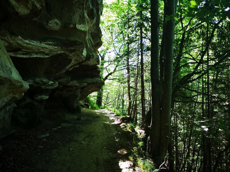 Elisa_4.jpg - 29.06.2019 - Ammerschlucht von Rottenbuch - Rückweg - Höhlen (Foto Elisa)  Doris, Elisa, Elisabeth, Lennart, Anton, Helmuth