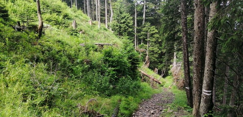 200718_Gefahrenstelle.jpg - 18.07.2020 - von Halblech zum Wolfskopf -  am Aufstieg - bei Schnee und Eis eine gefährlcihe Stelle  Helmuth