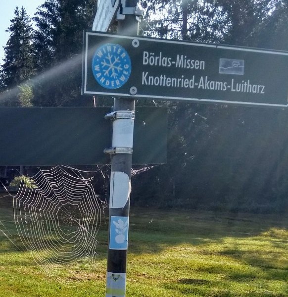 200912_Knottenried_G.jpg - 12.09.2020 - Diepholz, Knottenried, Missen, Alpkönigblick - Weg nach Knottenried - Spinnennetz (Foto Gerhard) Doris, Gerhard, Helmuth