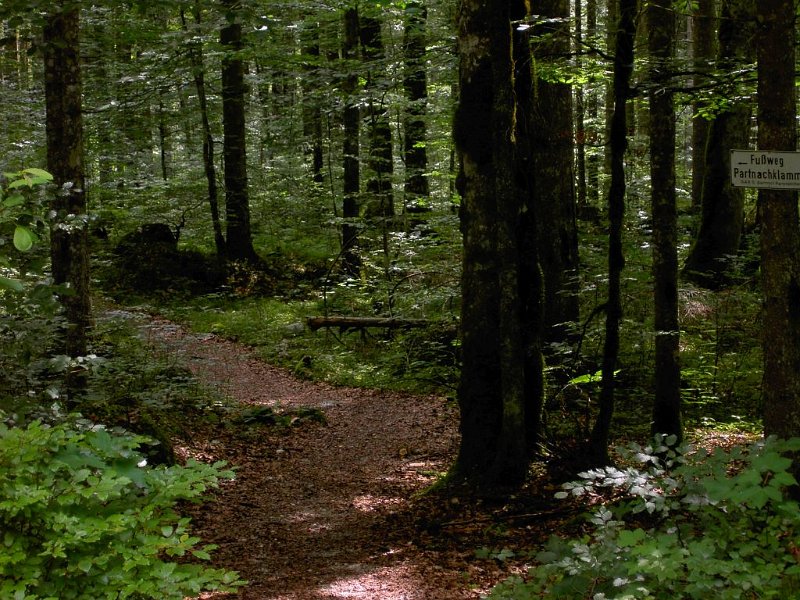 080620_Zugspitze_Abkürzung.jpg - Zugspitz-Besteigung 2008 - 20.06.2008 - Ende Abkürzung zur Zugspitze   Markus, Helmuth