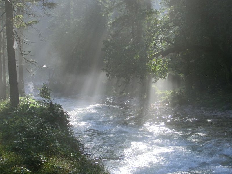 160828_Stimmung_Wald_D.jpg - Zugspitz-Besteigung 2016 - 28.08.2016 - Stimmung im Wald (Foto Dieter)   Elisabeth, Dieter, Helmuth